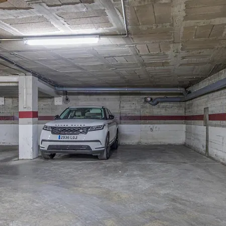 Badia De 1 New Roses