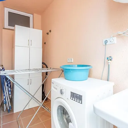 Badia De 1 New Roses